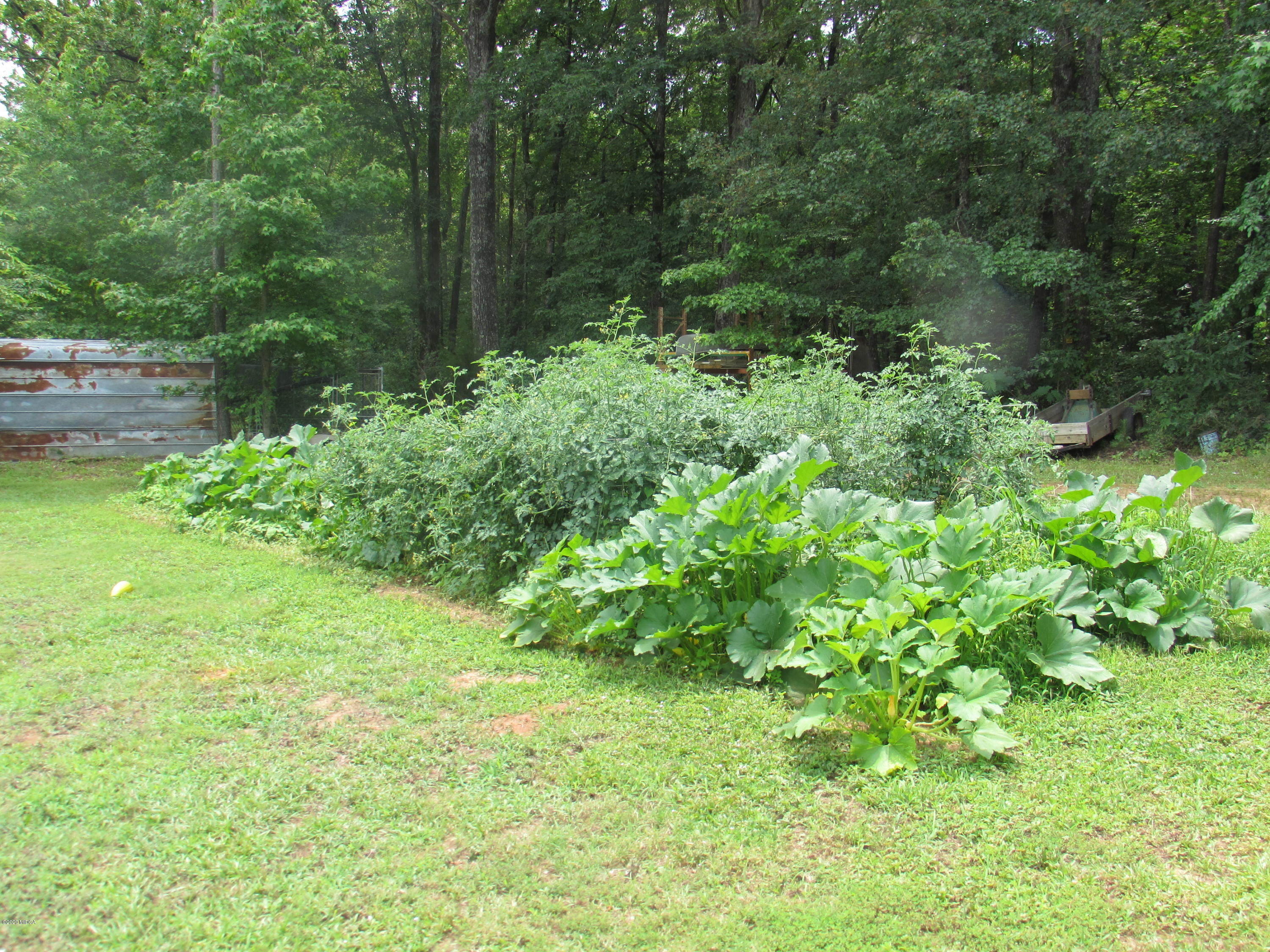 2927 Juliette Road Juliette, GA 31046 - Photo 3 of 26 garden