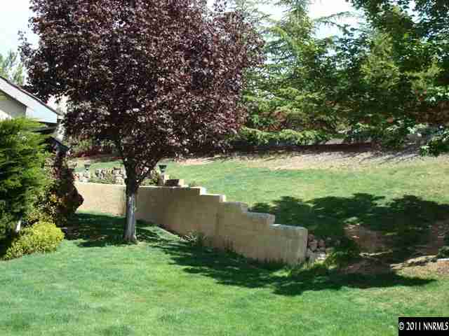 3342 Corey Drive Reno, NV 89509 - Photo 12 of 13 a view of a garden with a tree