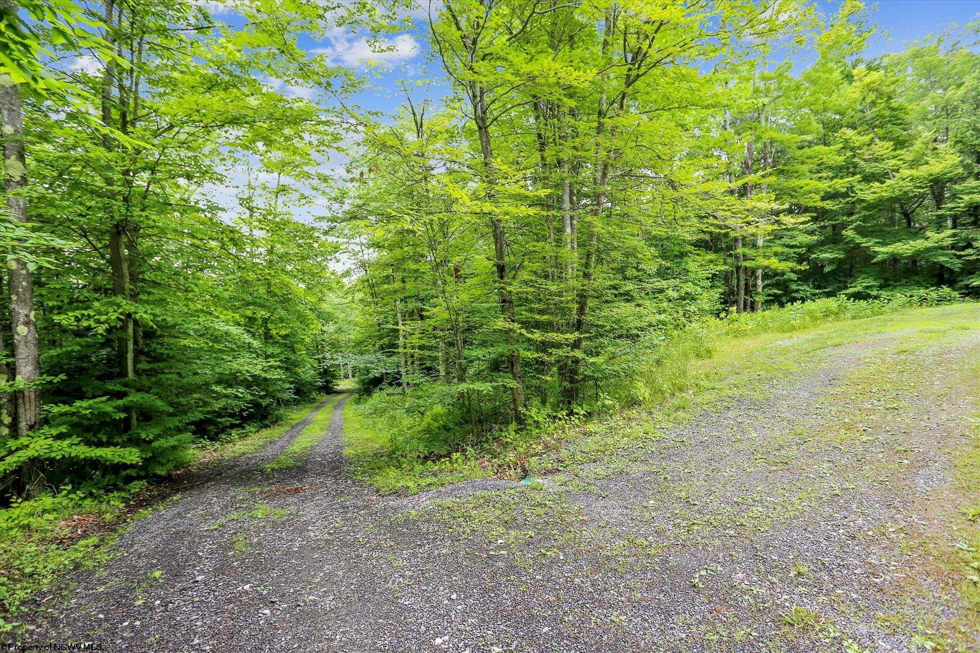 1358 Sand Run Road Davis, WV 26260 - Photo 27 of 29 Gallery Image 27