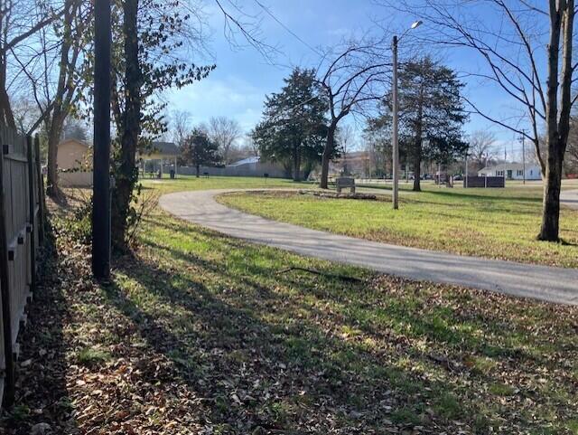 209 Rush Street Pleasant Hope, MO 65725 - Photo 28 of 33 thumbnail_IMG_4493
