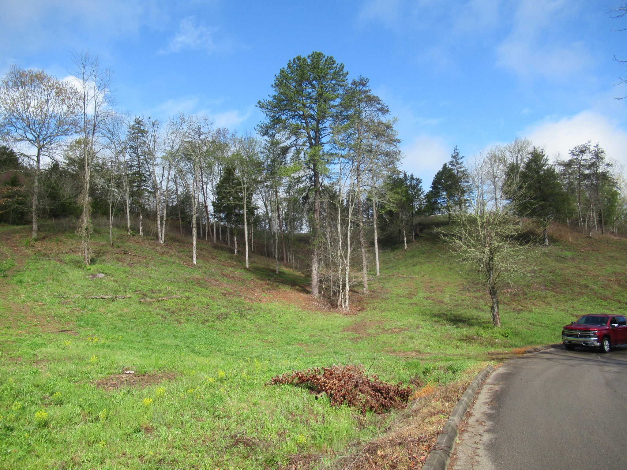 10 Hidden Ranch Way Seymour, TN 37865 - Photo 11 of 25 Gallery Image 11