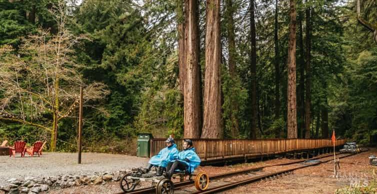 283 Sherwood Road Willits, CA 95490 - Photo 4 of 7 a view of a bench in the backyard