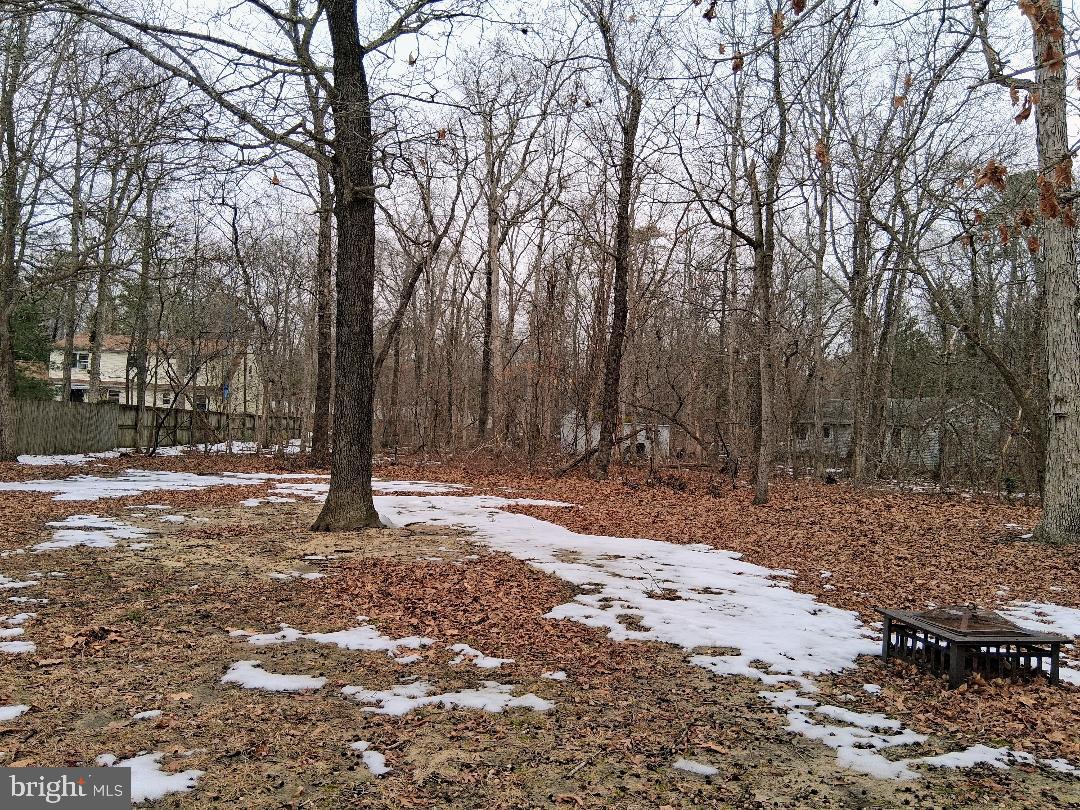 25880 Brookwood Road Greensboro, MD 21639 - Photo 19 of 20 Large backyard