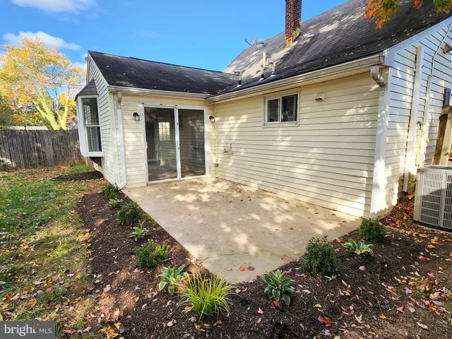 a view of a backyard with plants and large tree