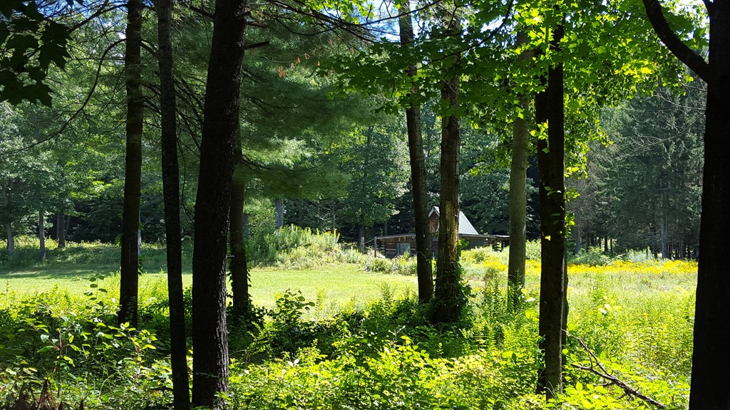 777 Lampblack Road Greenfield, MA 01301 - Photo 1 of 4 Gallery Image 1