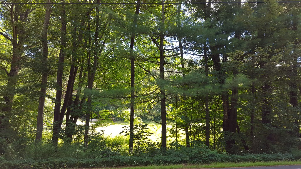 777 Lampblack Road Greenfield, MA 01301 - Photo 2 of 4 Gallery Image 2