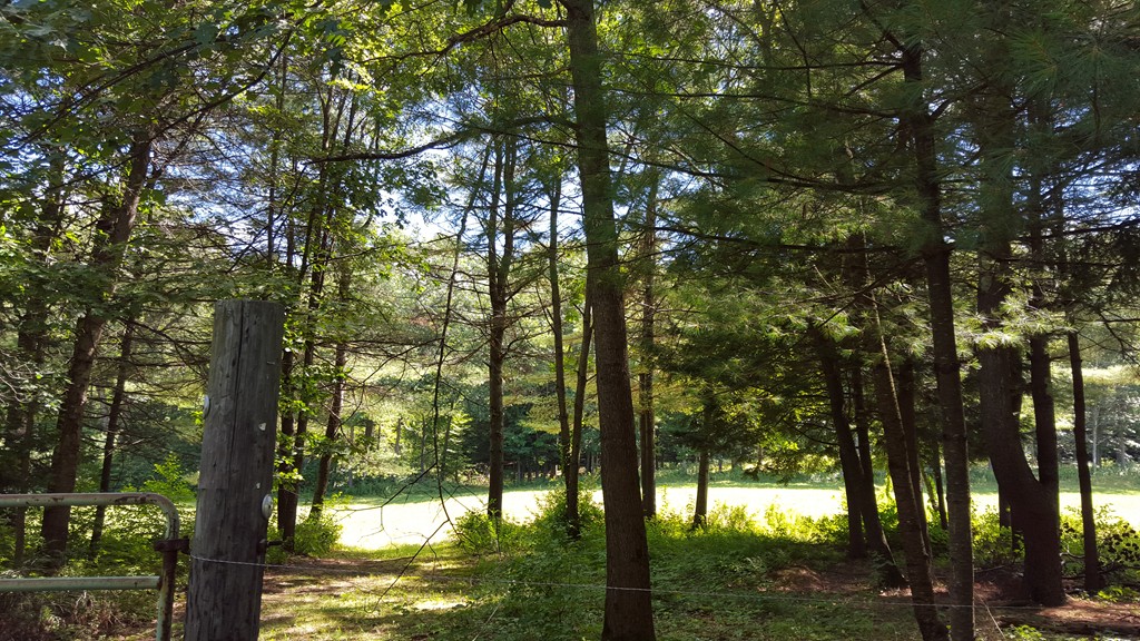 777 Lampblack Road Greenfield, MA 01301 - Photo 3 of 4 Gallery Image 3