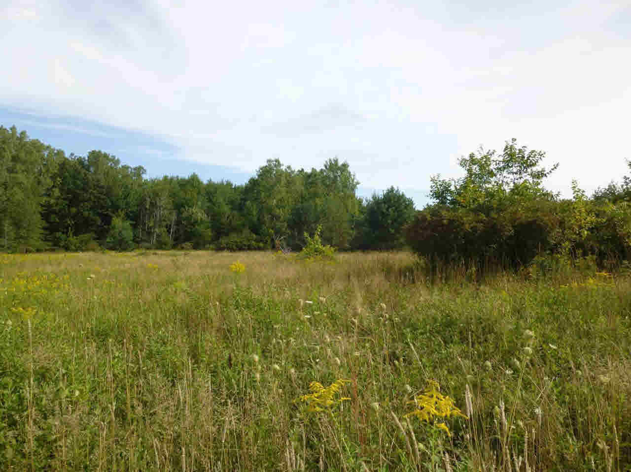 10790 Beard Road Byron, MI 48418 - Photo 4 of 36 21388128-3.JPG