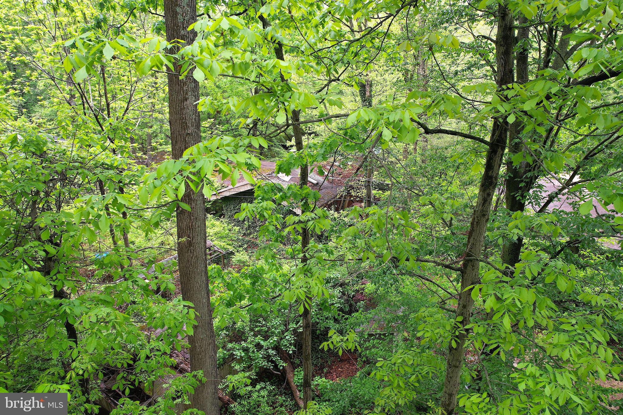 38 N Road Mount Holly, NJ 08060 - Photo 32 of 35