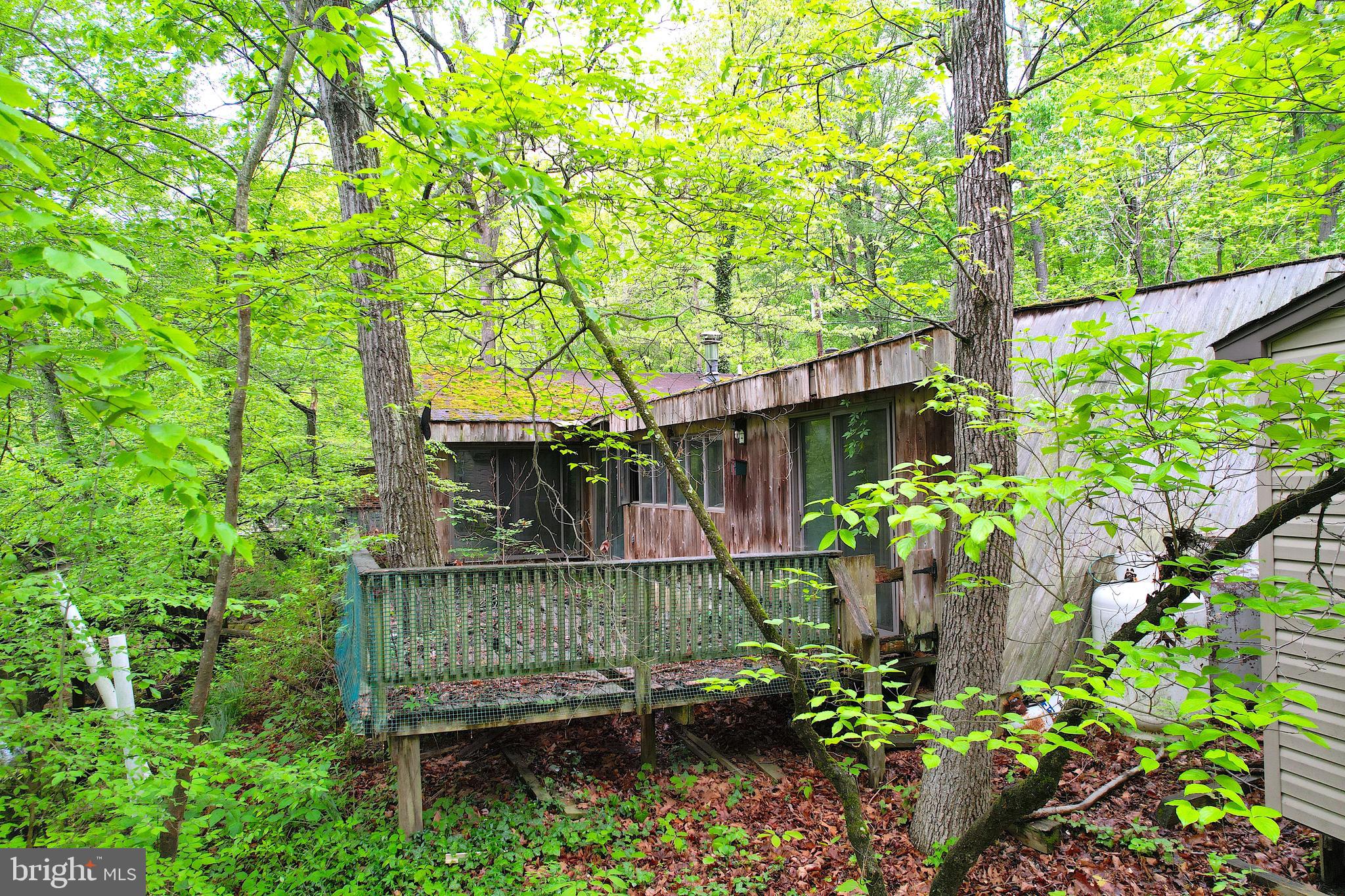 38 N Road Mount Holly, NJ 08060 - Photo 9 of 35