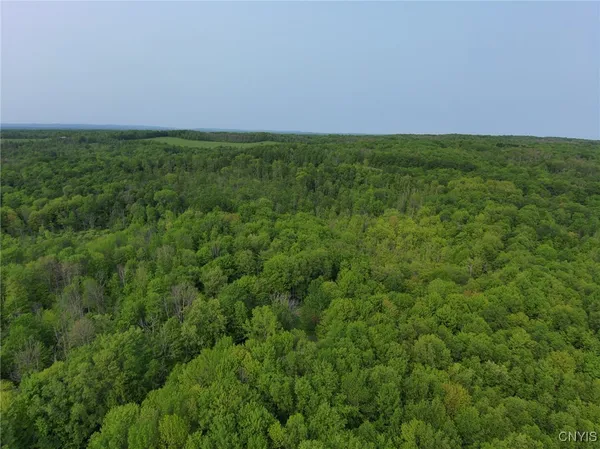$27,500 | 0 Lynch Road, Little Falls, NY 13365