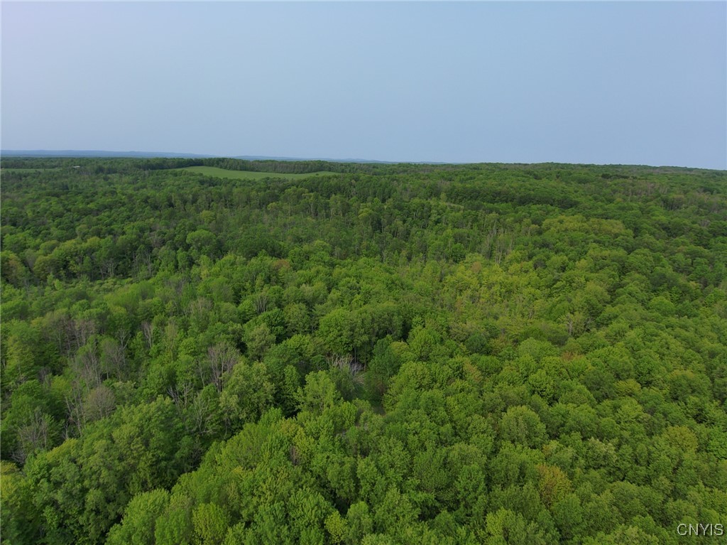 0 Lynch Road Little Falls, NY 13365 - Photo 1 of 4