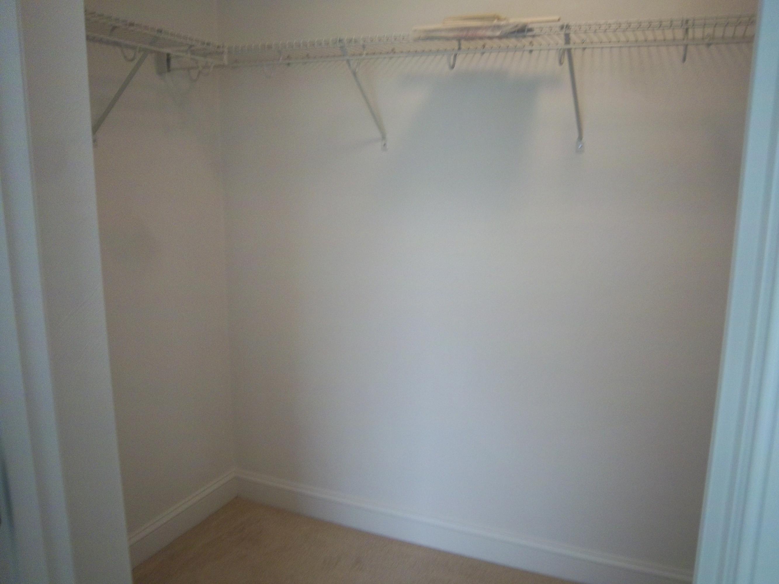 330 Thornblade Way Blue Ridge, VA 24064 - Photo 12 of 34 Walk-in closet