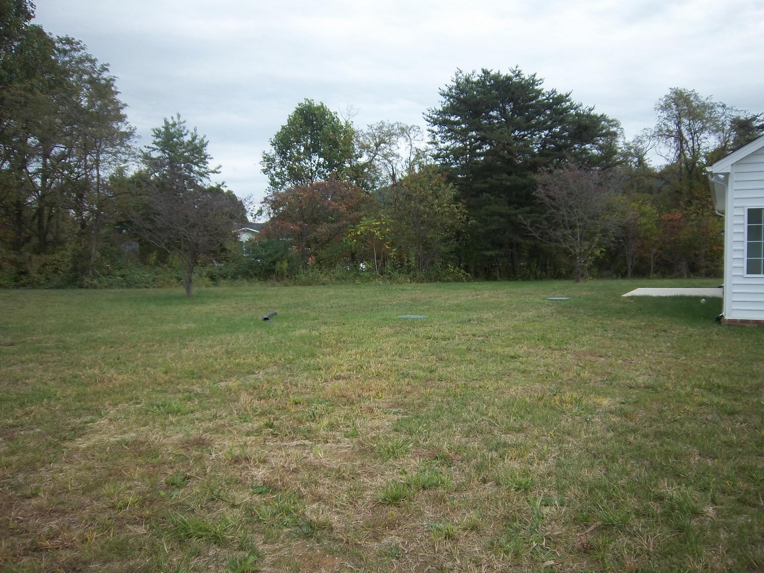 330 Thornblade Way Blue Ridge, VA 24064 - Photo 22 of 34 Back yard