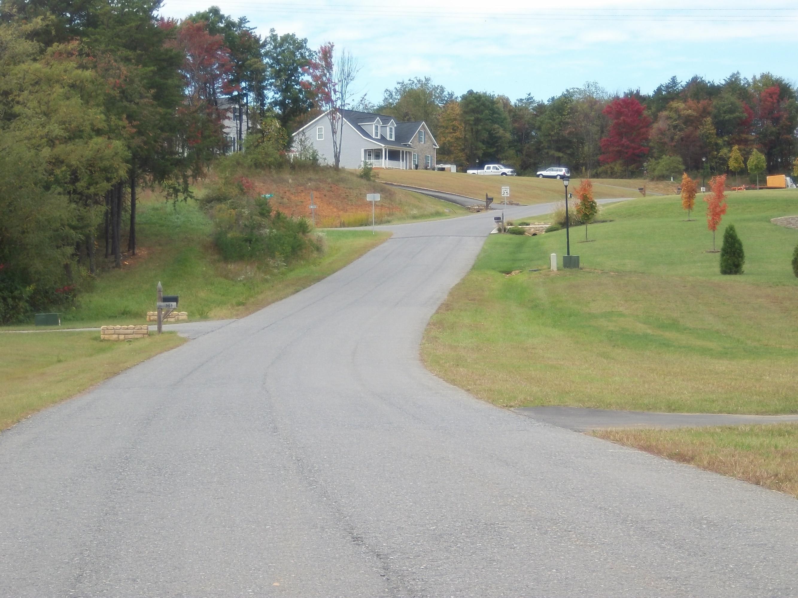 330 Thornblade Way Blue Ridge, VA 24064 - Photo 26 of 34 Street view