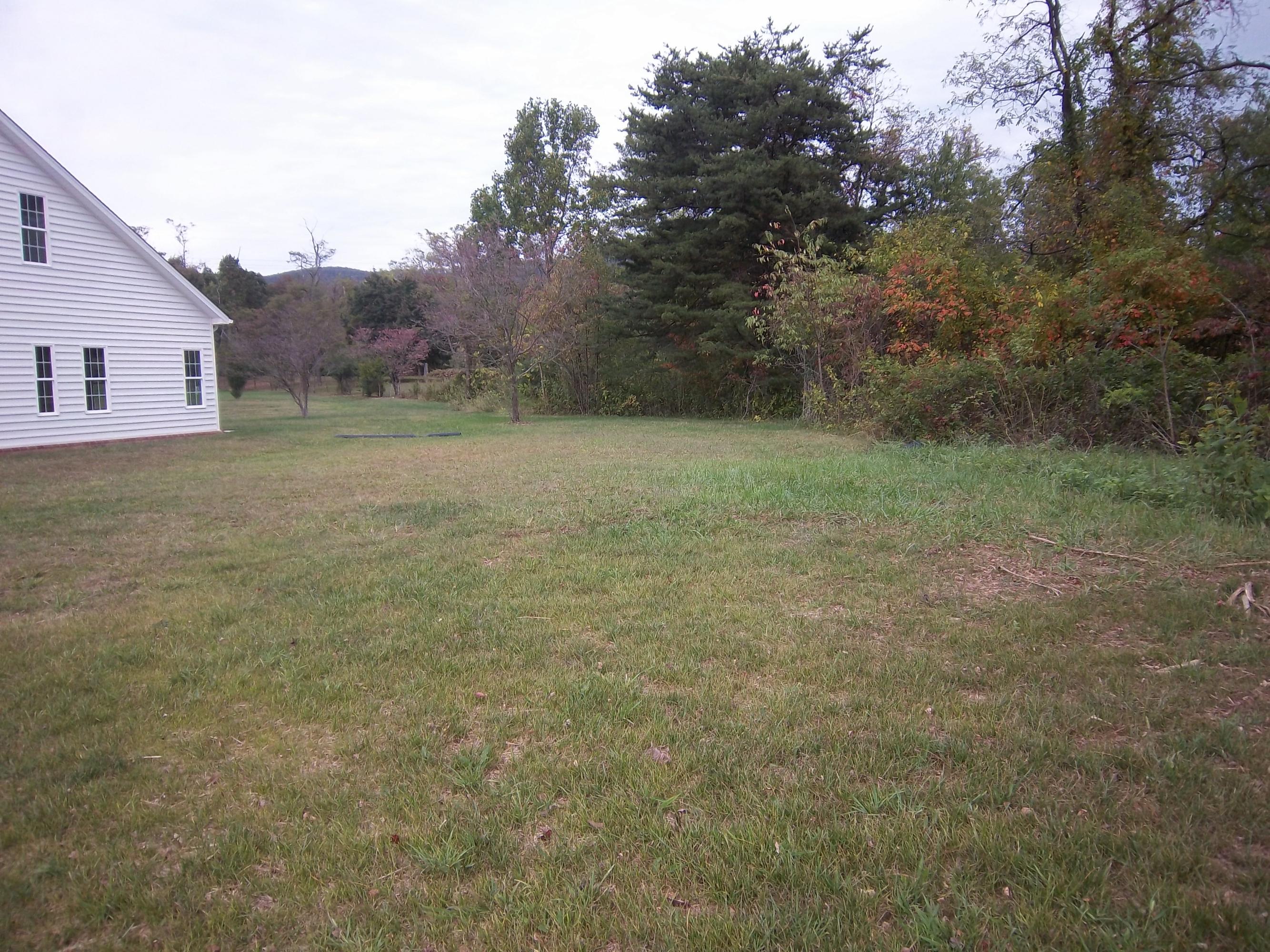 330 Thornblade Way Blue Ridge, VA 24064 - Photo 29 of 34 Side yard