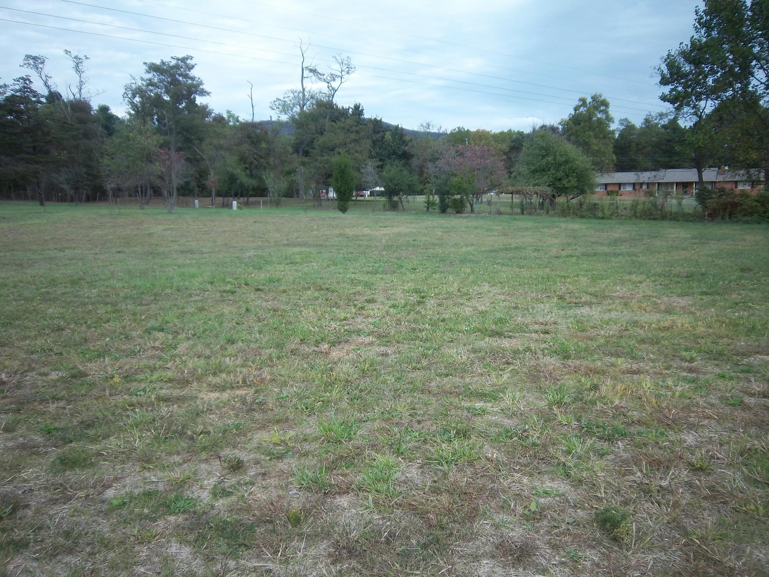 330 Thornblade Way Blue Ridge, VA 24064 - Photo 32 of 34 Back yard