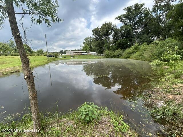 2096 Swilley Road Wesson, MS 39191 - Photo 77 of 86 IMG_4352
