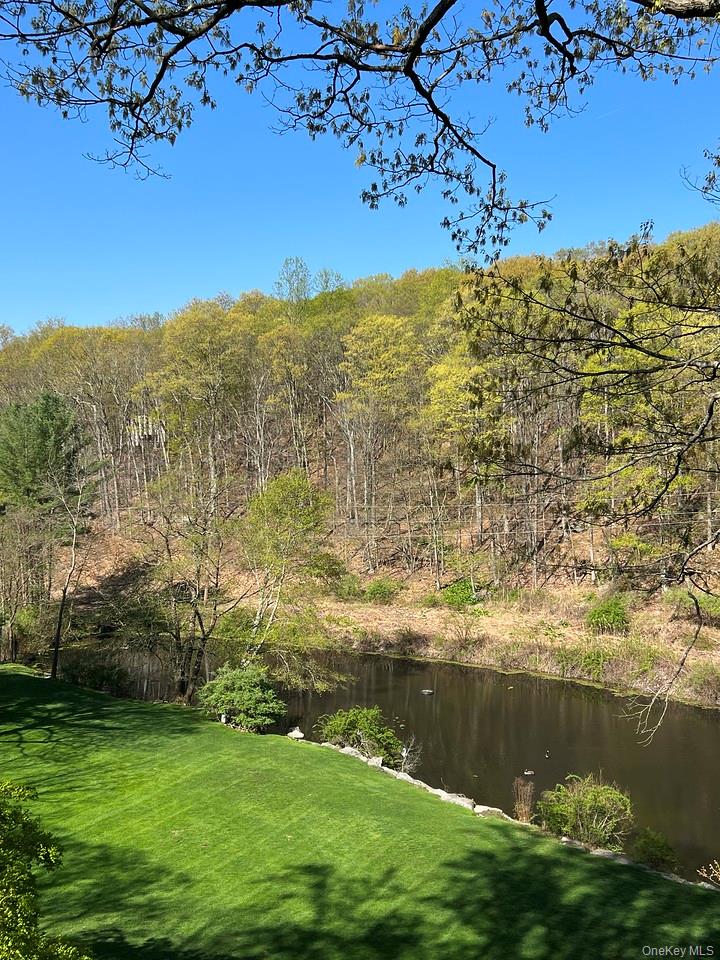54 Cross Pond Road Pound Ridge, NY 10576 - Photo 41 of 47