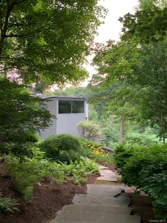 a view of a backyard with plants