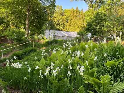 a view of a pathway with a yard