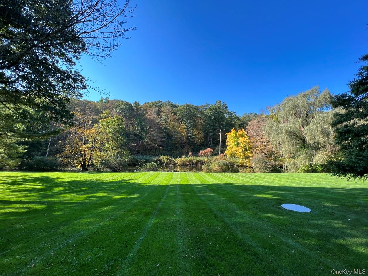 54 Cross Pond Road Pound Ridge, NY 10576 - Photo 46 of 50 a view of a grassy field with trees in the background