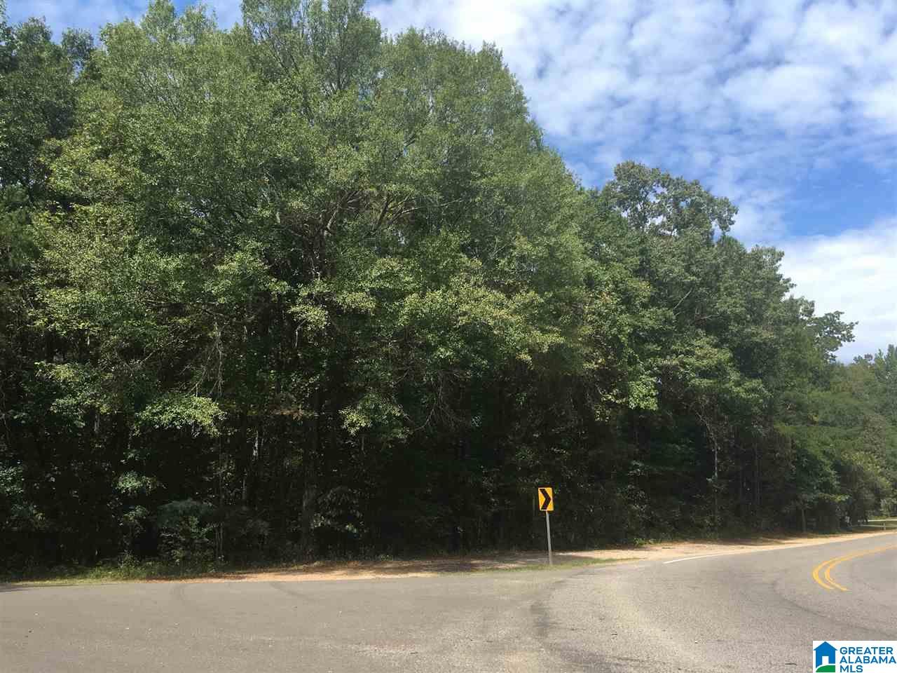 Old Village Road McCalla, AL 35111 - Photo 2 of 12