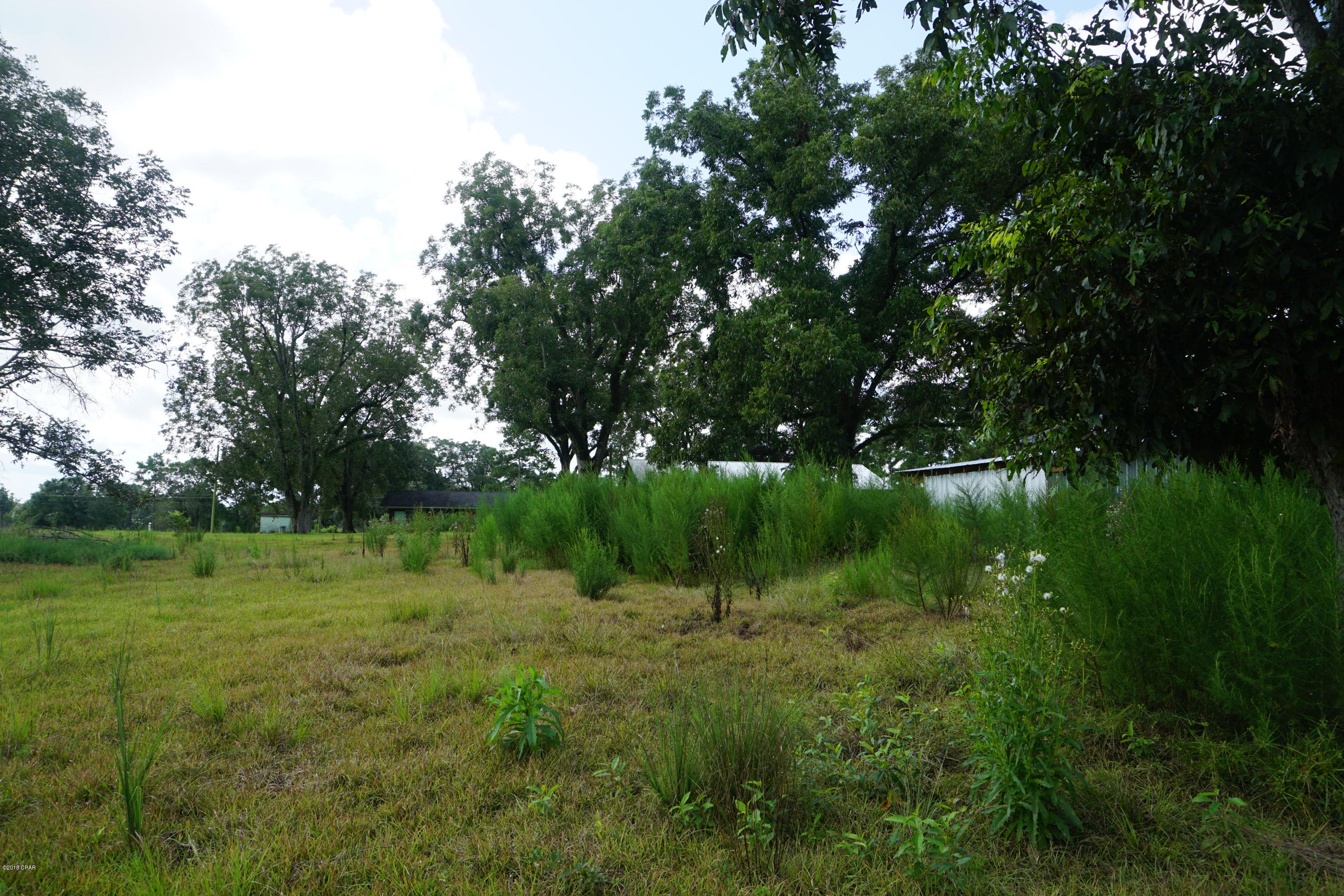 594 Tri County Road Graceville, FL 32440 - Photo 52 of 59