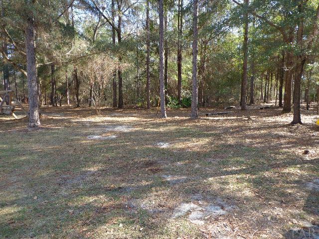 7036 Tee-Don Road Harold, FL 32564 - Photo 34 of 44 Gallery Image 34
