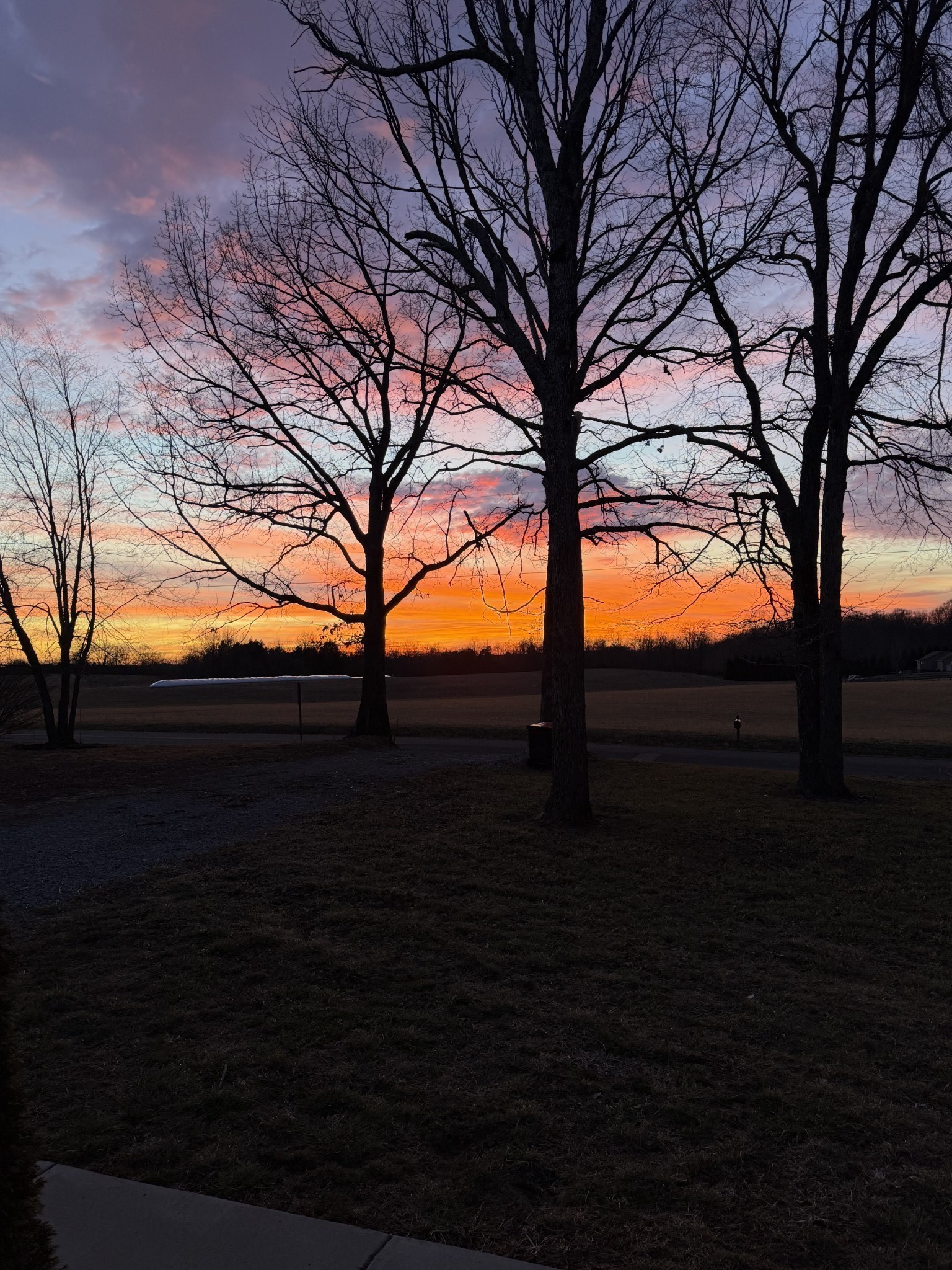 319 Lear Road Portland, TN 37148 - Photo 32 of 32 a view of outdoor space with green field
