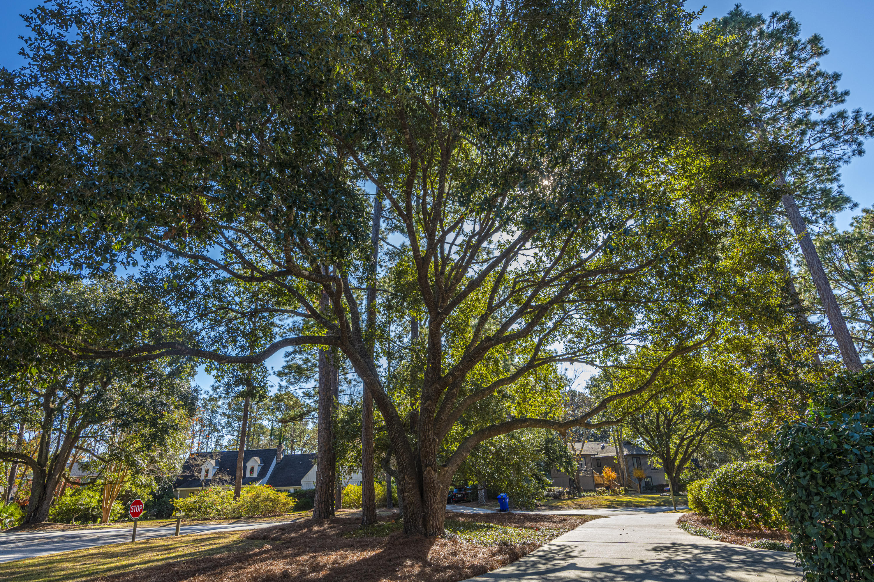 1164 Farm Quarter Road Mount Pleasant, SC 29464 - Photo 57 of 58 DSC_0143