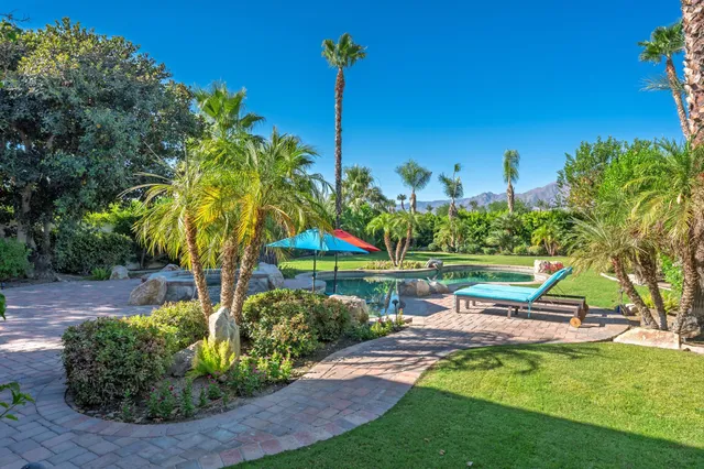 a view of a park with plants and a bench