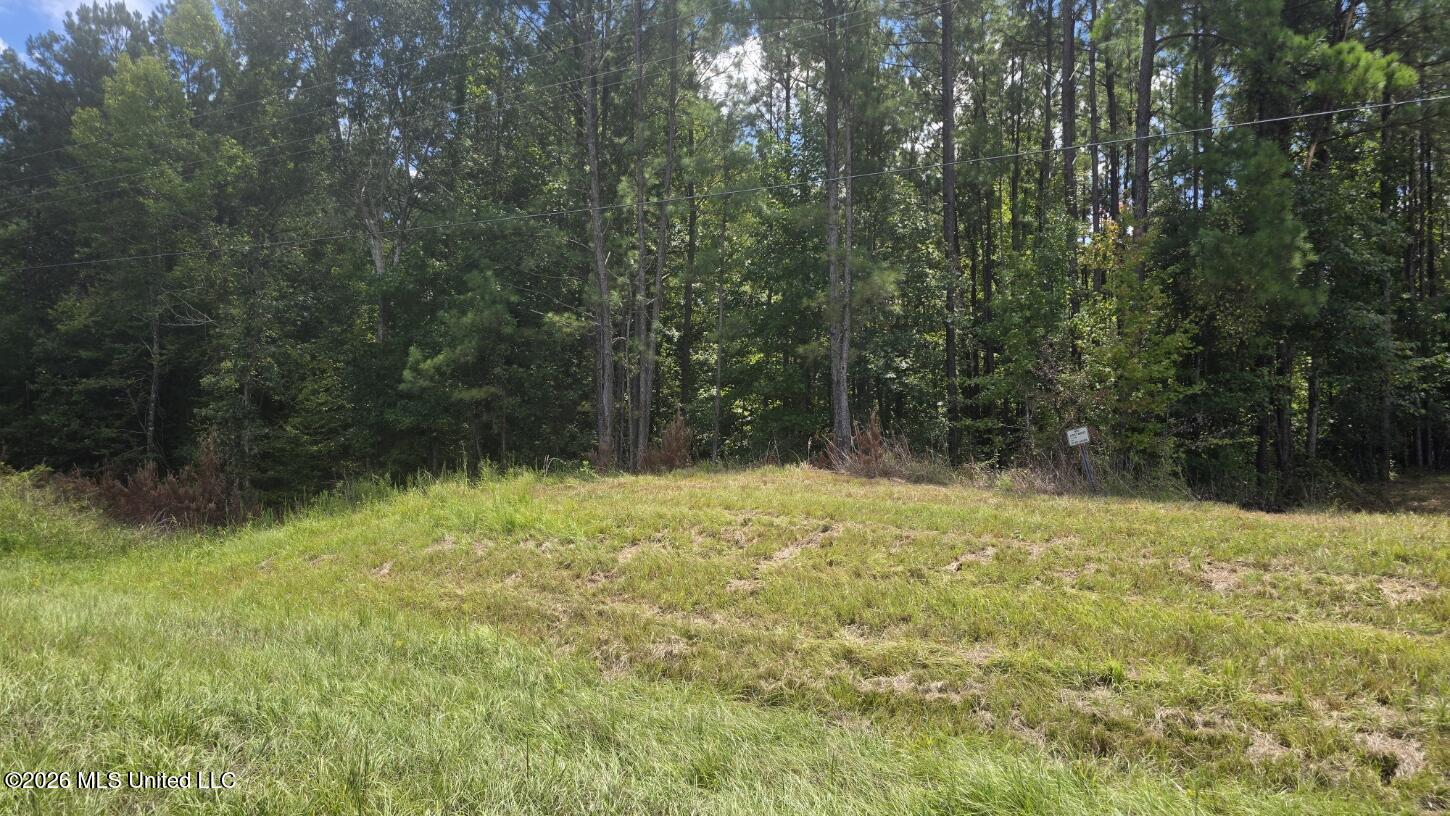 0 East E Highway Roxie, MS 39661 - Photo 4 of 13 20260827_133727