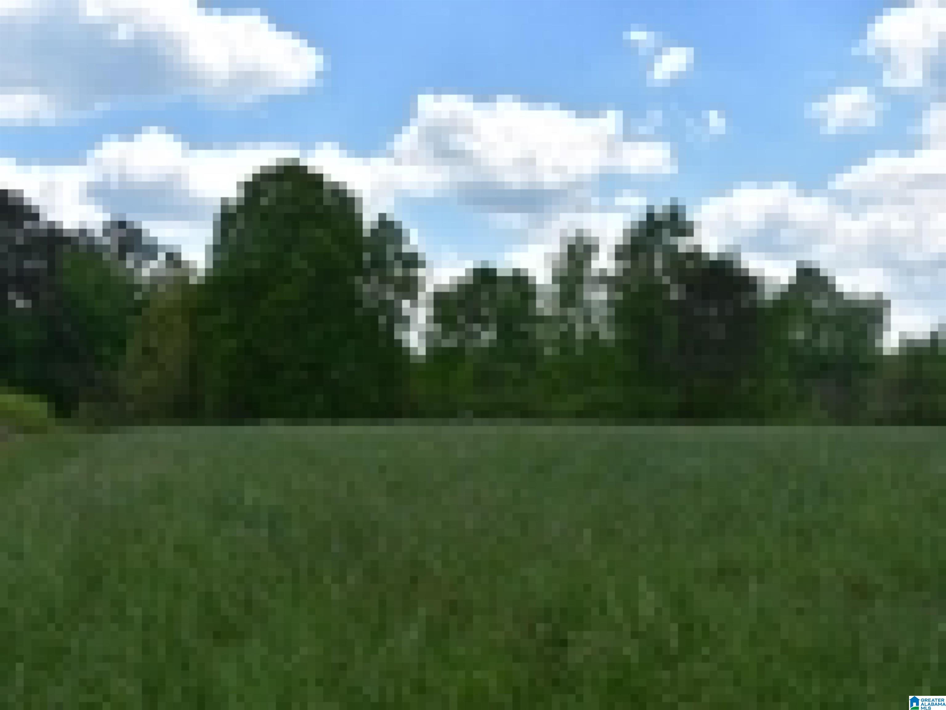 0 County Road 141, Unit 1 Ider, AL 35981 - Photo 20 of 29