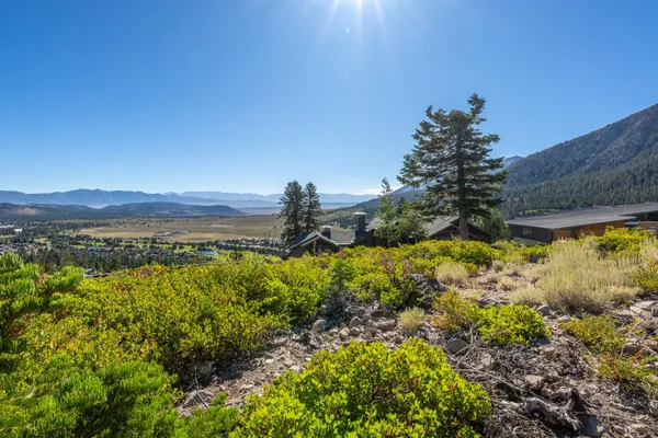 a view of a bunch of trees and mountains