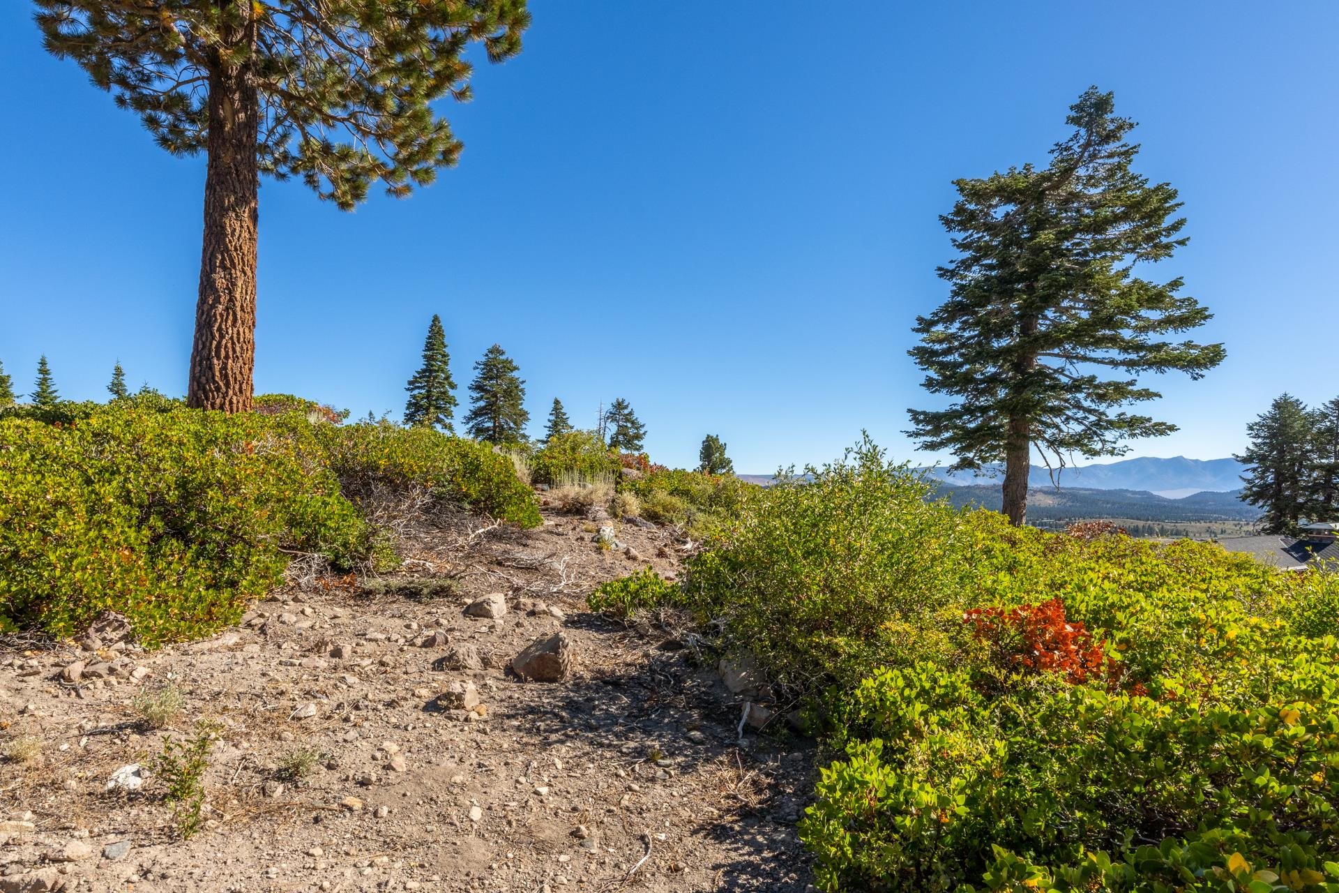 480 Fir Street Mammoth Lakes, CA 93546 - Photo 19 of 36 View of local wilderness with mountains