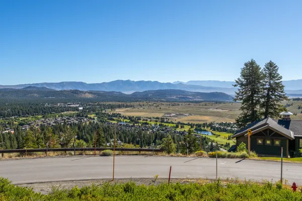 a view of a house with a tree and plants