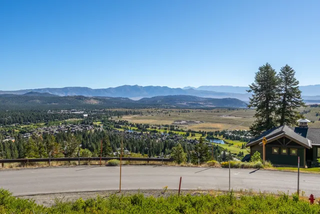 a view of a house with a tree and plants