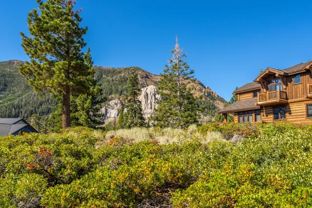 a view of a houses with a yard in front of it