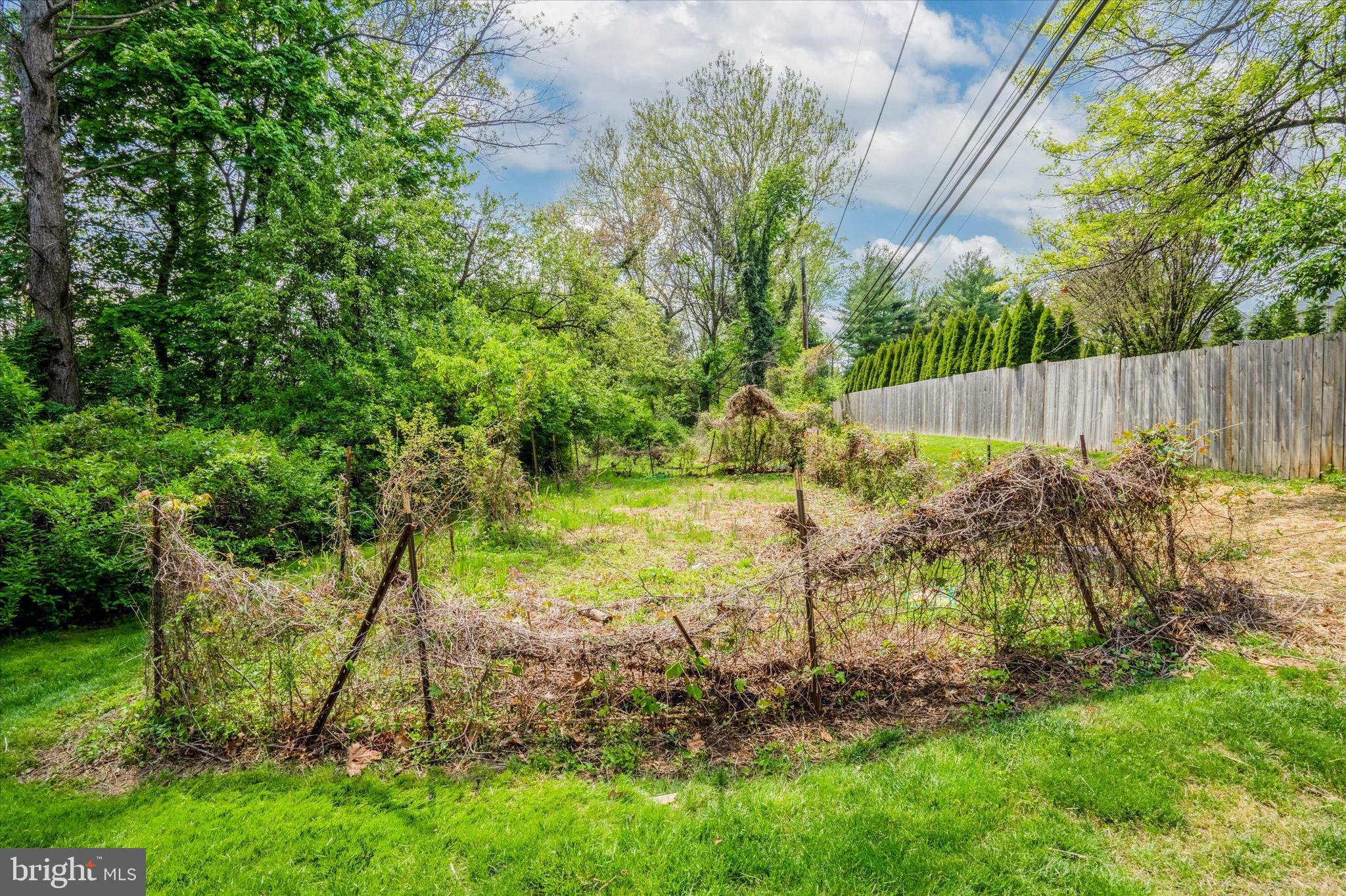 119 Ridgefield Road Newtown Square, PA 19073 - Photo 56 of 56 Vegetable Garden potential!