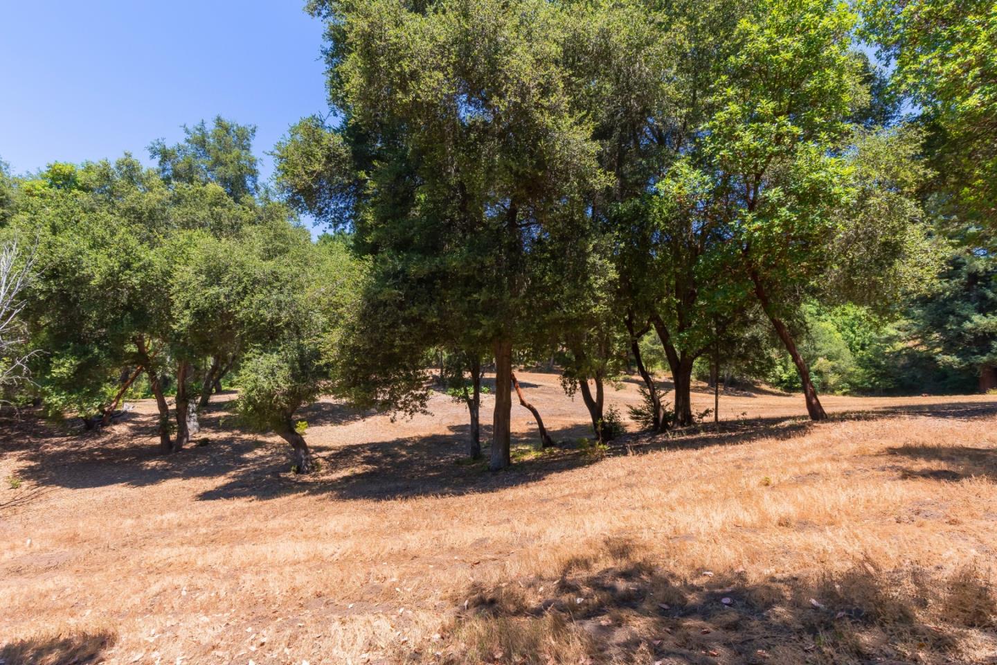 0 Stetson Road Los Gatos, CA 95033 - Photo 12 of 17 Gallery Image 12