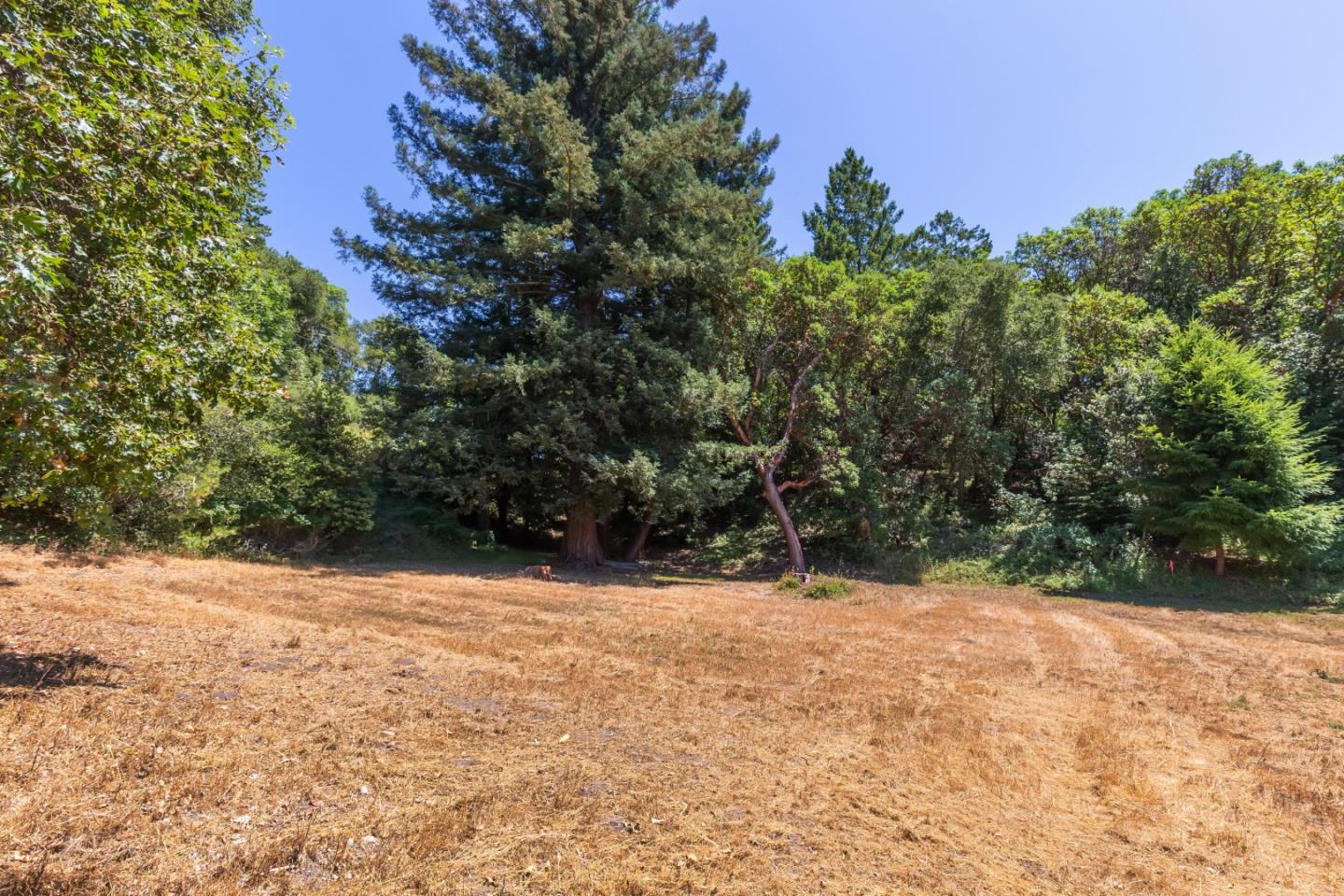 0 Stetson Road Los Gatos, CA 95033 - Photo 8 of 17 Gallery Image 8