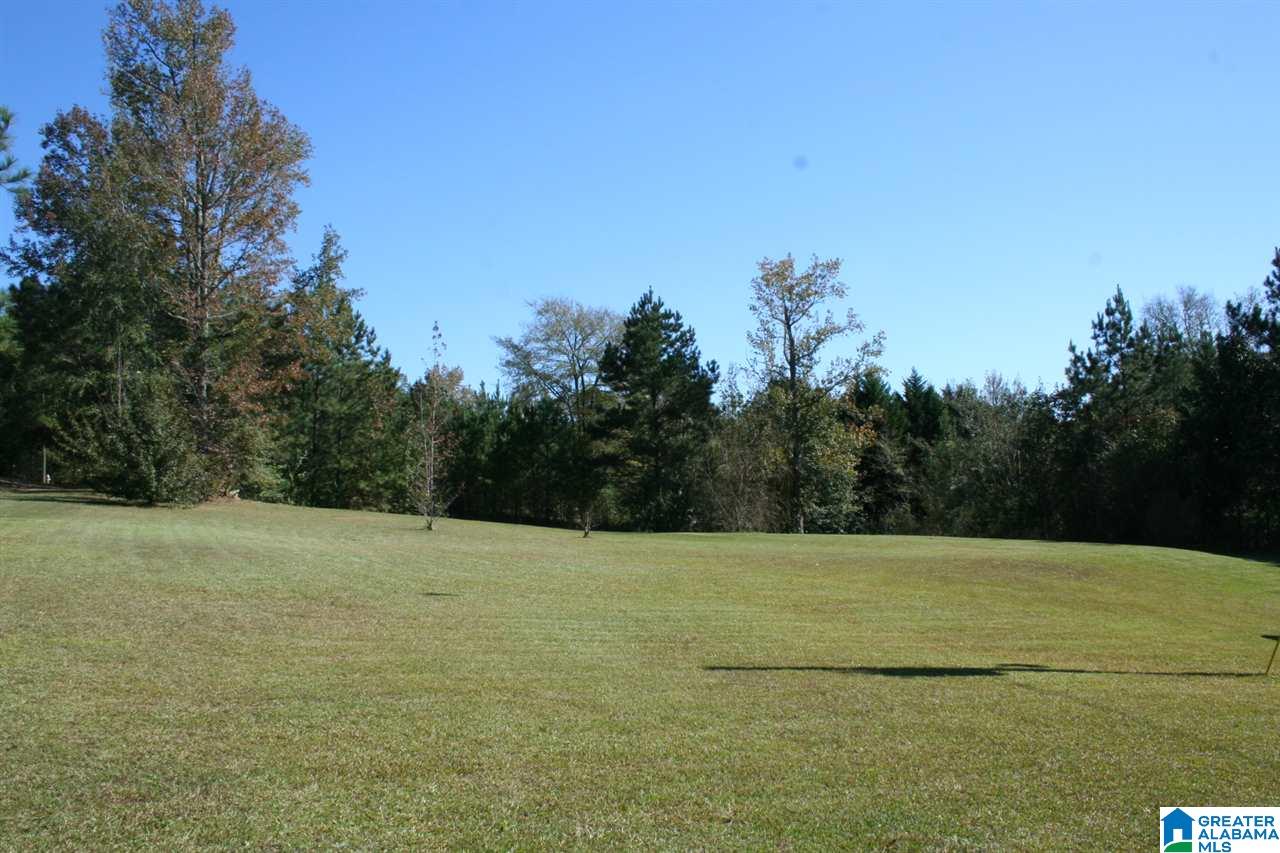 283 Amanda Lane Weaver, AL 36277 - Photo 24 of 33