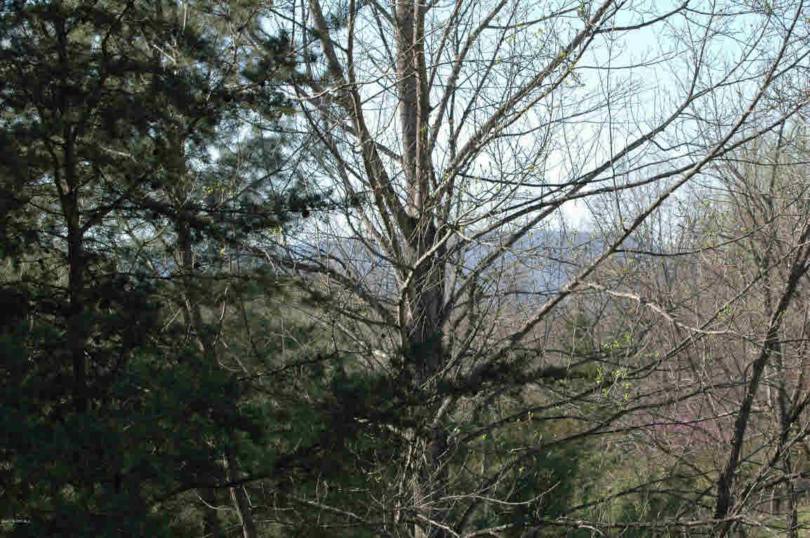 Lot D Springdale Road Pearisburg, VA 24134 - Photo 9 of 10 Gallery Image 9