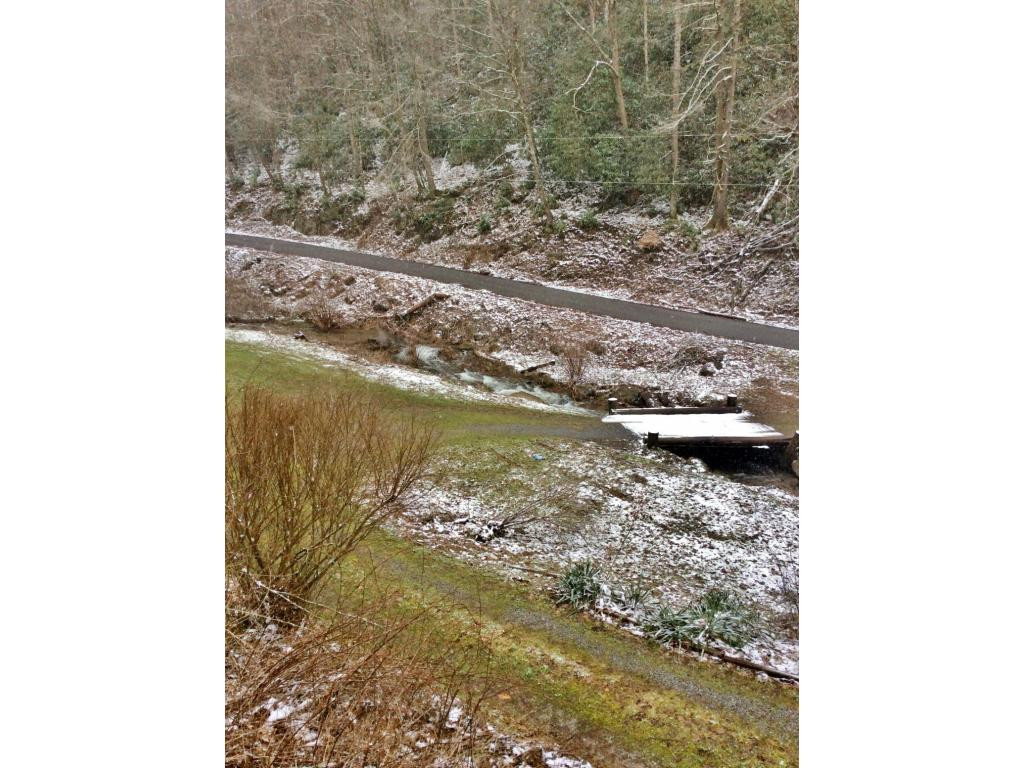 581 Tumbling Creek Road Erwin, TN 37650 - Photo 17 of 21 Photo 17