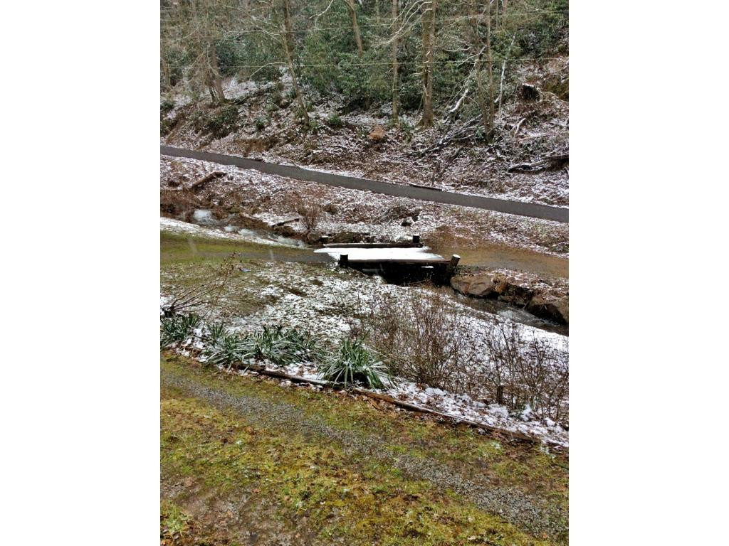 581 Tumbling Creek Road Erwin, TN 37650 - Photo 20 of 21 Photo 20