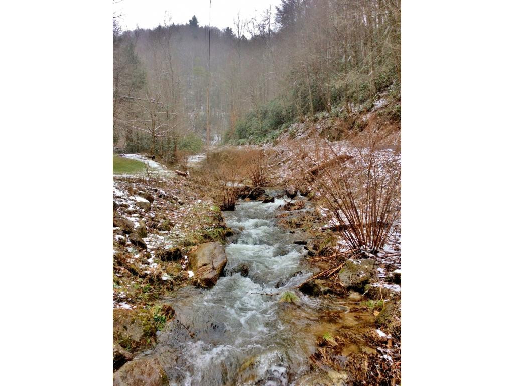 581 Tumbling Creek Road Erwin, TN 37650 - Photo 2 of 21 Photo 2