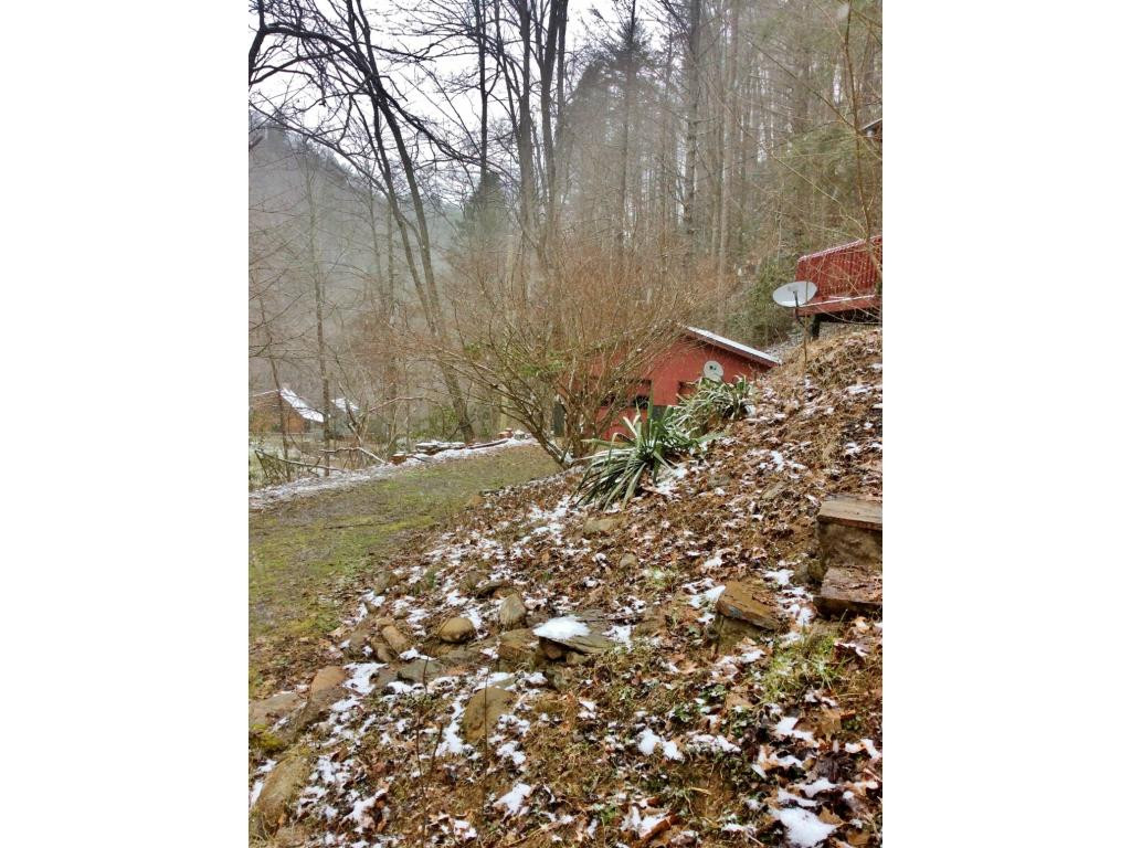 581 Tumbling Creek Road Erwin, TN 37650 - Photo 21 of 21 Photo 21