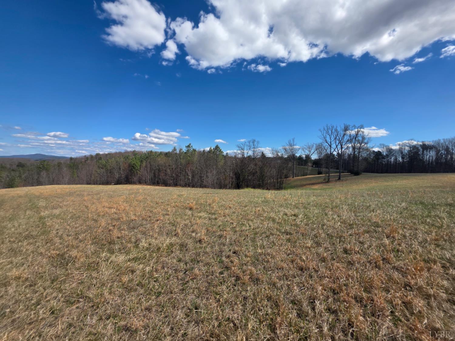 0 Skyline Road Appomattox, VA 24522 - Photo 19 of 21