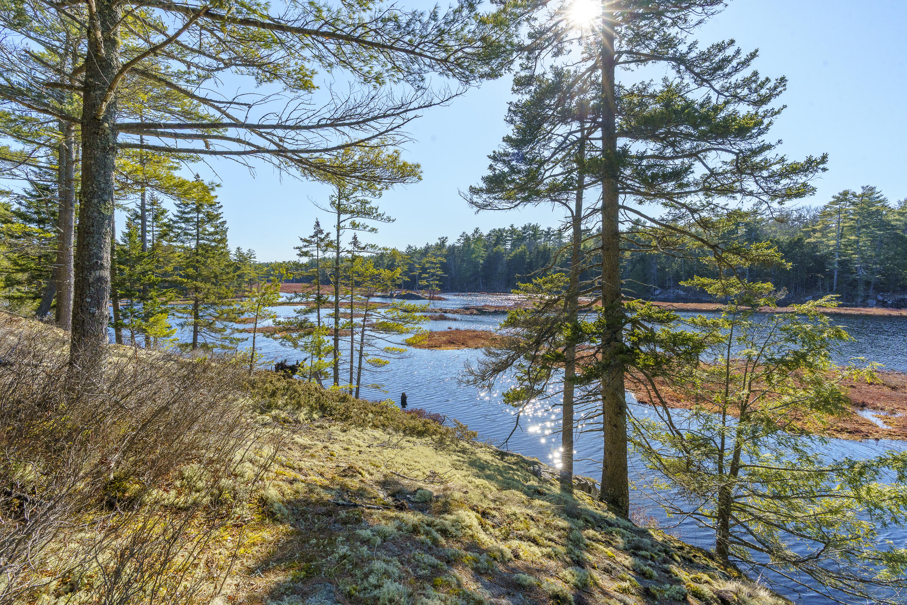 1357 Main Road Westport Island, ME 04578 - Photo 30 of 38